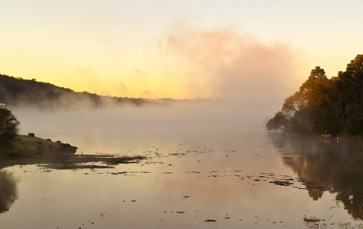 Geada na região rural de Campo Largo, no Paraná
