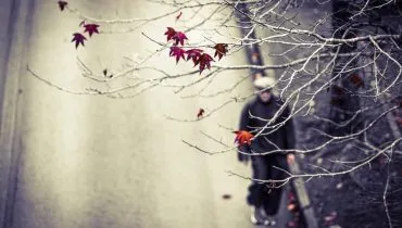 Perto do inverno, folhas da Rua do Outono já caíram