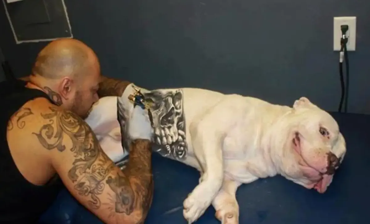 Imagem mostra homem fazendo tatuagem em cachorro