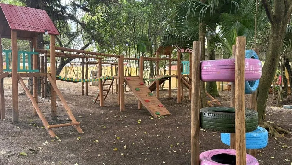 Imagem mostra quintal coberto por árvores e vários brinquedos de madeira