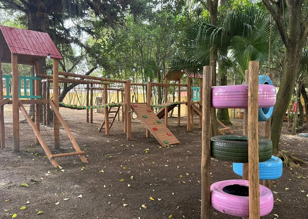 Imagem mostra quintal coberto por árvores e vários brinquedos de madeira