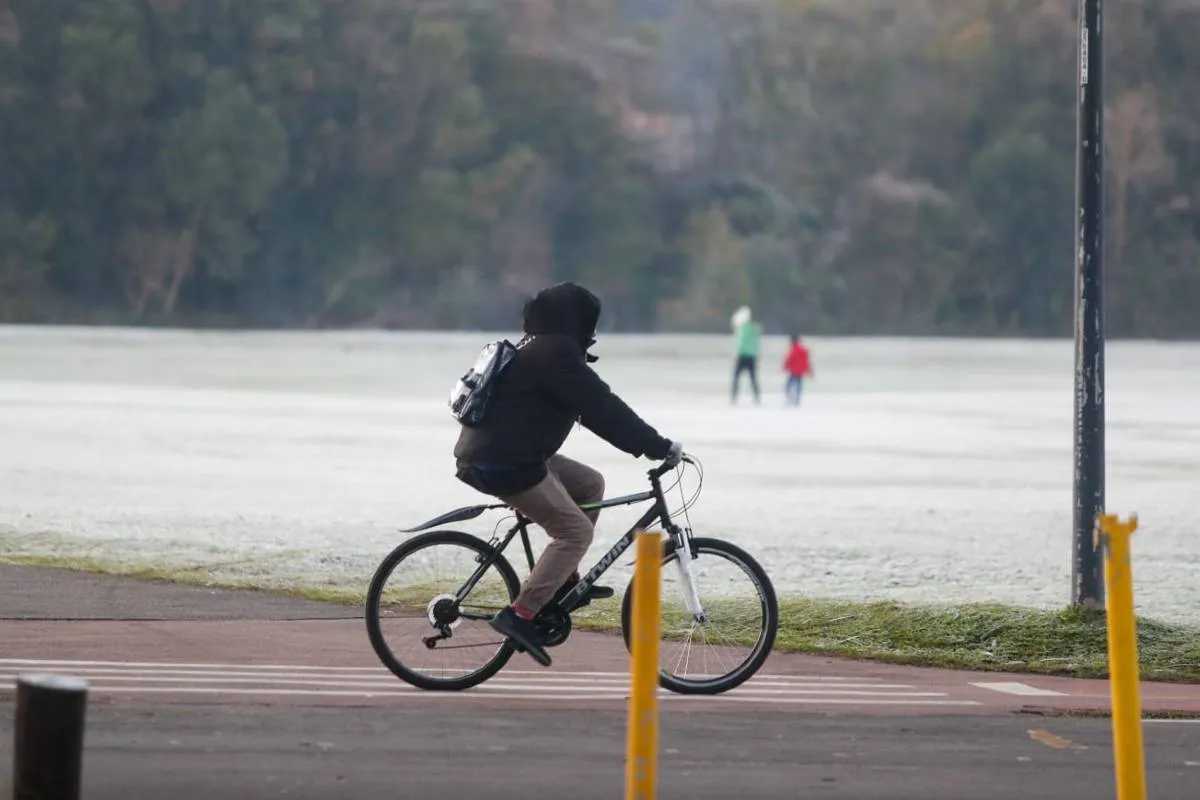 Imagem mostra registros de Geada em Curitiba, no Parque Barigui.