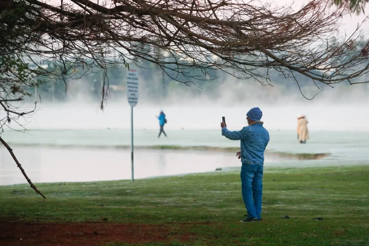 Imagem mostra registros de Geada em Curitiba, no Parque Barigui.