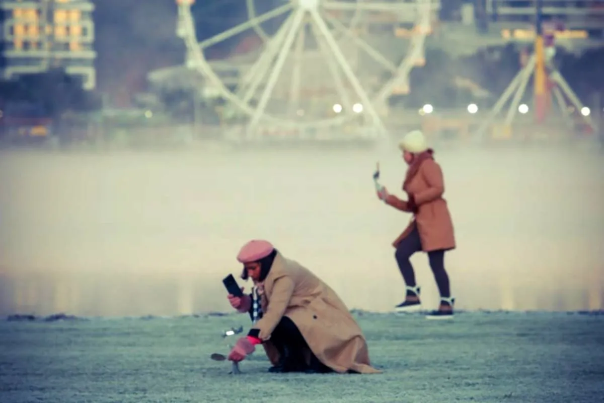 Imagem mostra registros de Geada em Curitiba, no Parque Barigui.