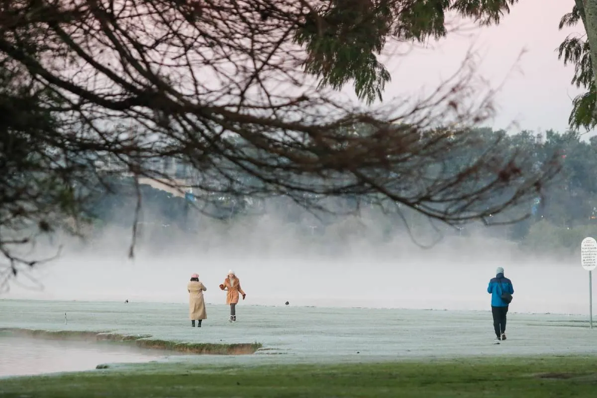 Imagem mostra registros de Geada em Curitiba, no Parque Barigui.