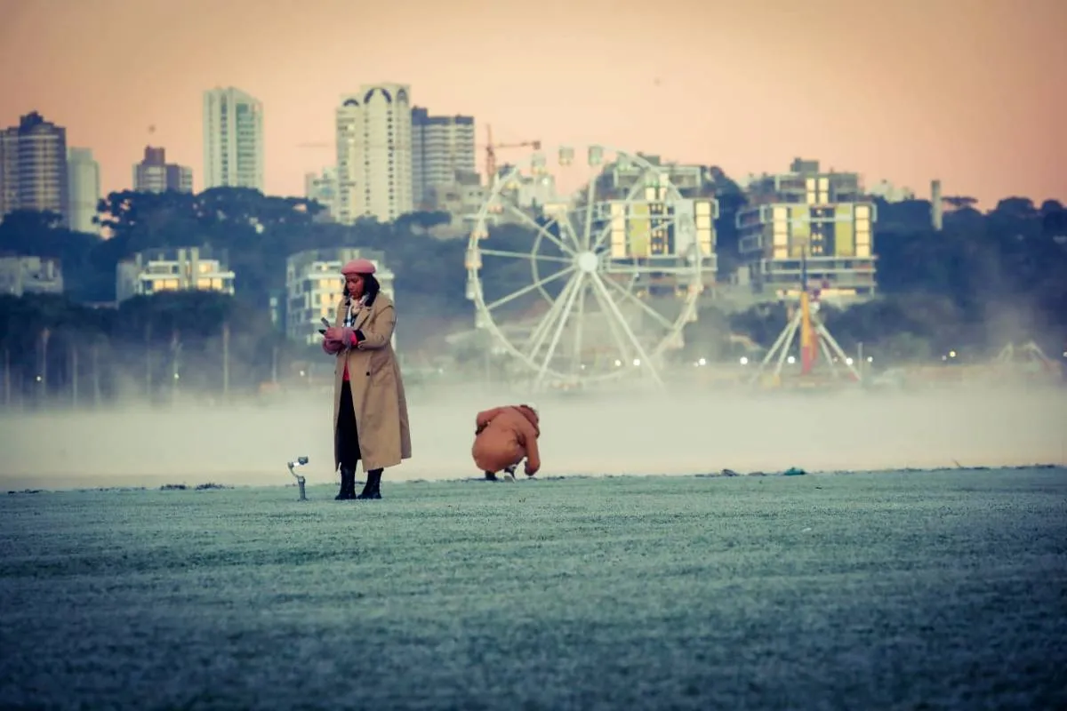 Imagem mostra registros de Geada em Curitiba, no Parque Barigui.