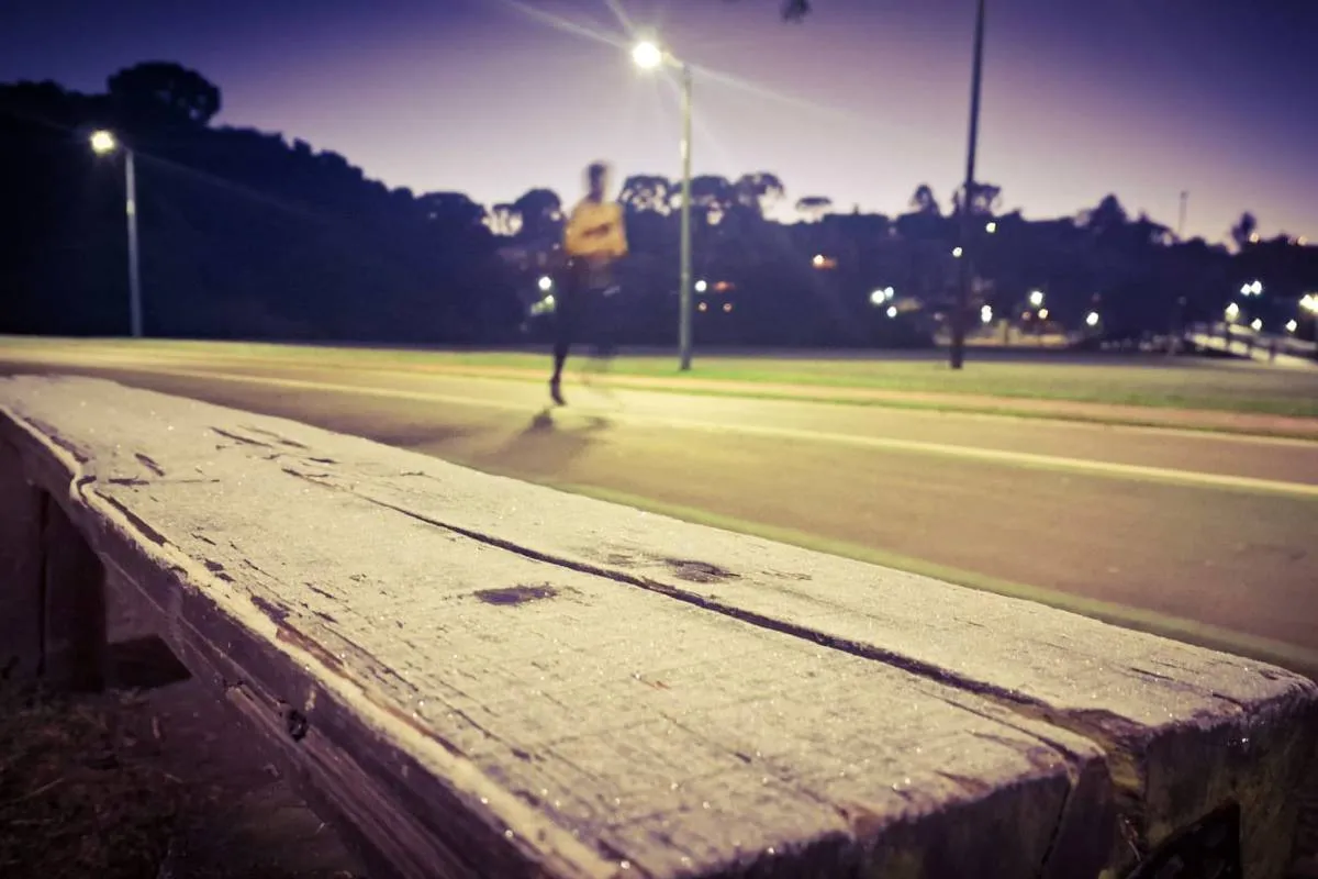 Imagem mostra registros de Geada em Curitiba, no Parque Barigui.