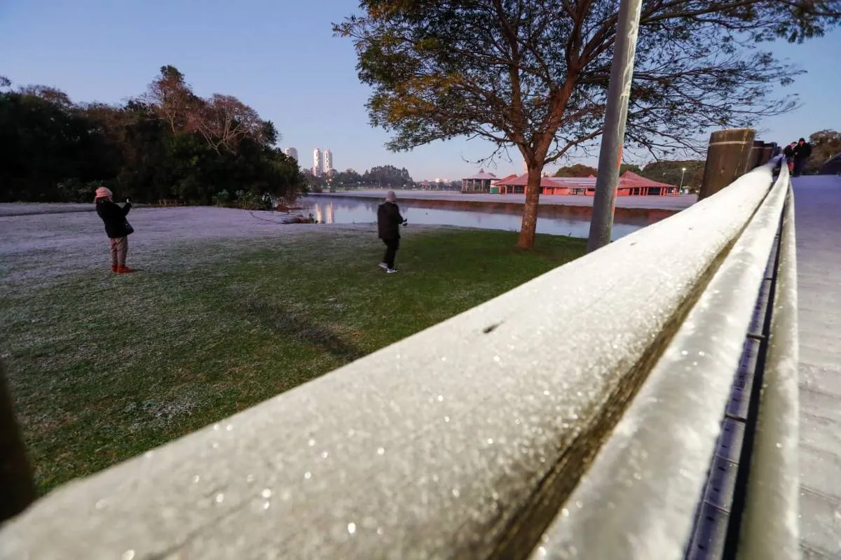 Imagem mostra registros de Geada em Curitiba, no Parque Barigui.
