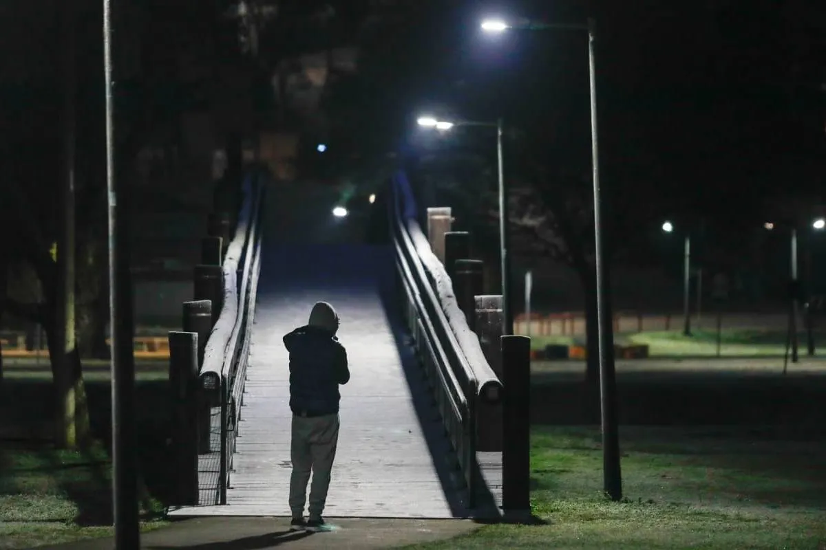 Imagem mostra registros de Geada em Curitiba, no Parque Barigui.