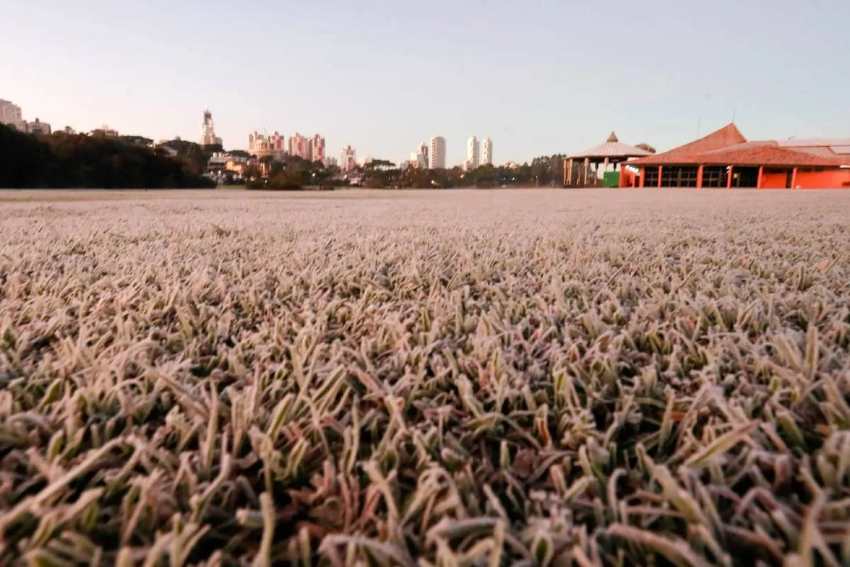 Imagem mostra registros de Geada em Curitiba, no Parque Barigui.