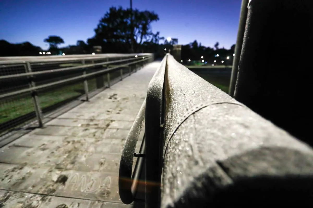 Imagem mostra registros de Geada em Curitiba, no Parque Barigui.