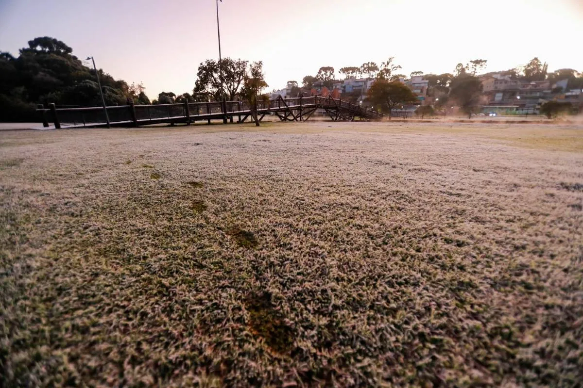 Imagem mostra registros de Geada em Curitiba, no Parque Barigui.