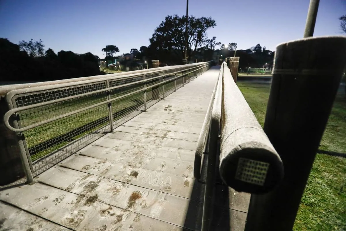 Imagem mostra registros de Geada em Curitiba, no Parque Barigui.