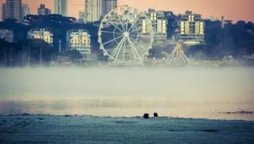 Imagem mostra registros de Geada em Curitiba, no Parque Barigui.