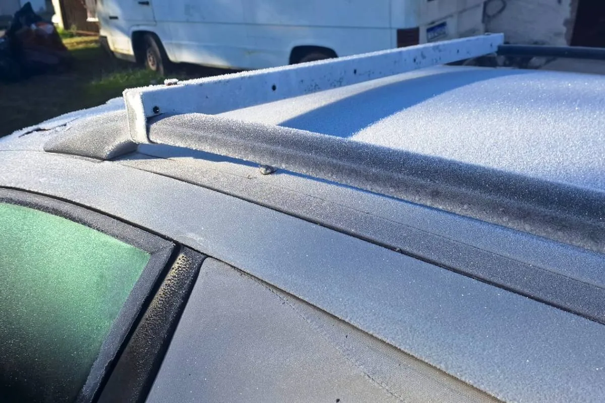 Imagem mostra registros de Geada em Curitiba, no Parque Barigui.