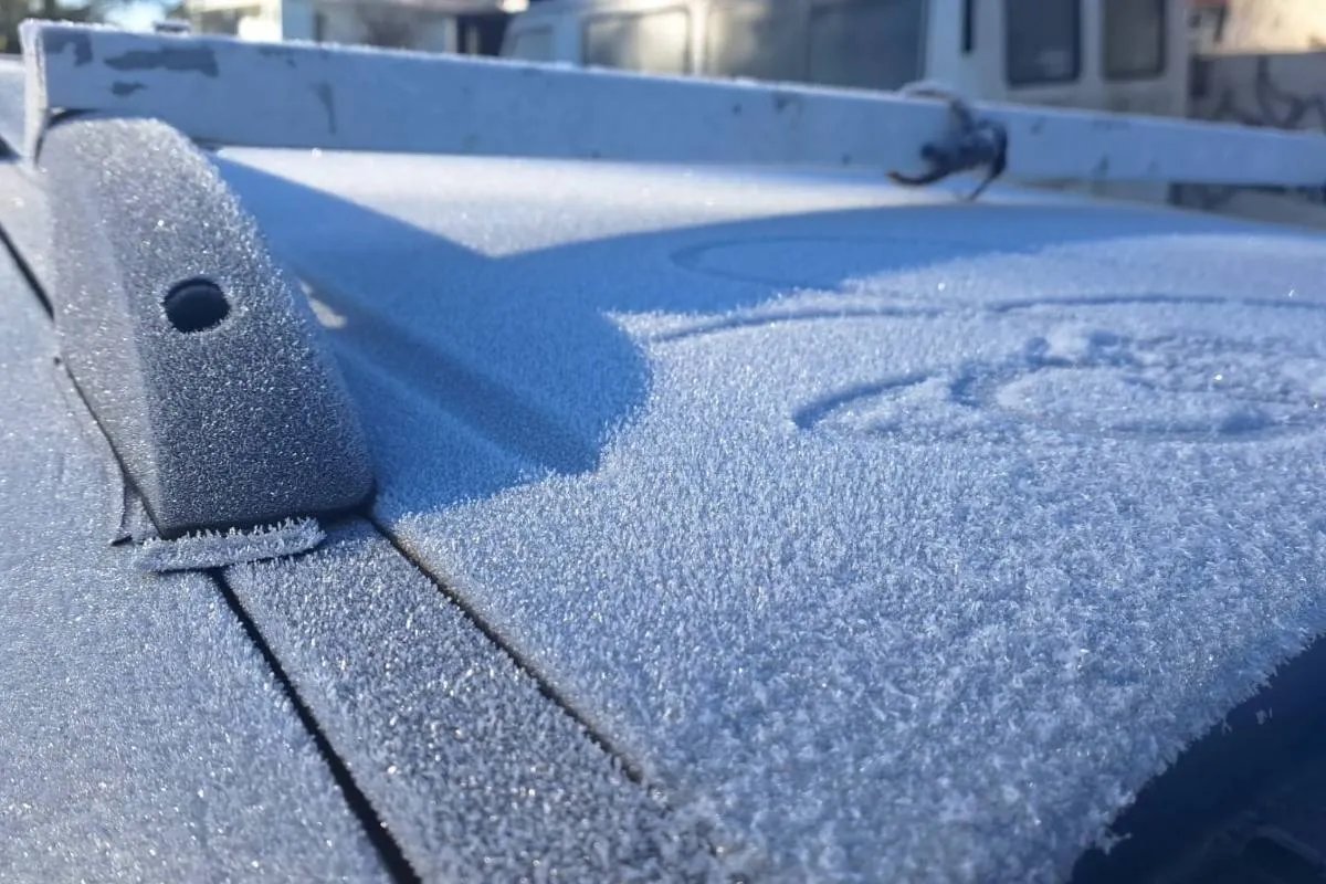 Imagem mostra registros de Geada em Curitiba, no Parque Barigui.