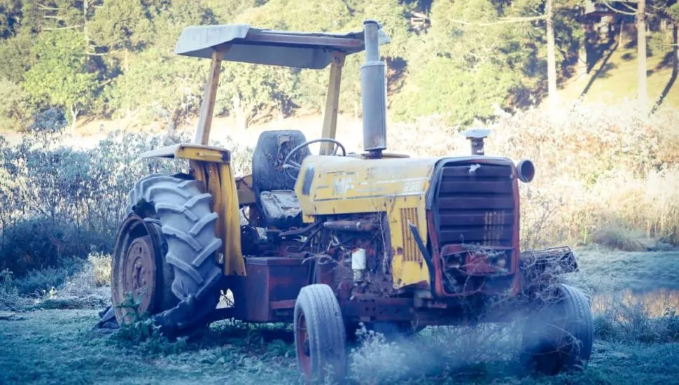 Imagem mostra registros de Geada em Curitiba, no Parque Barigui.