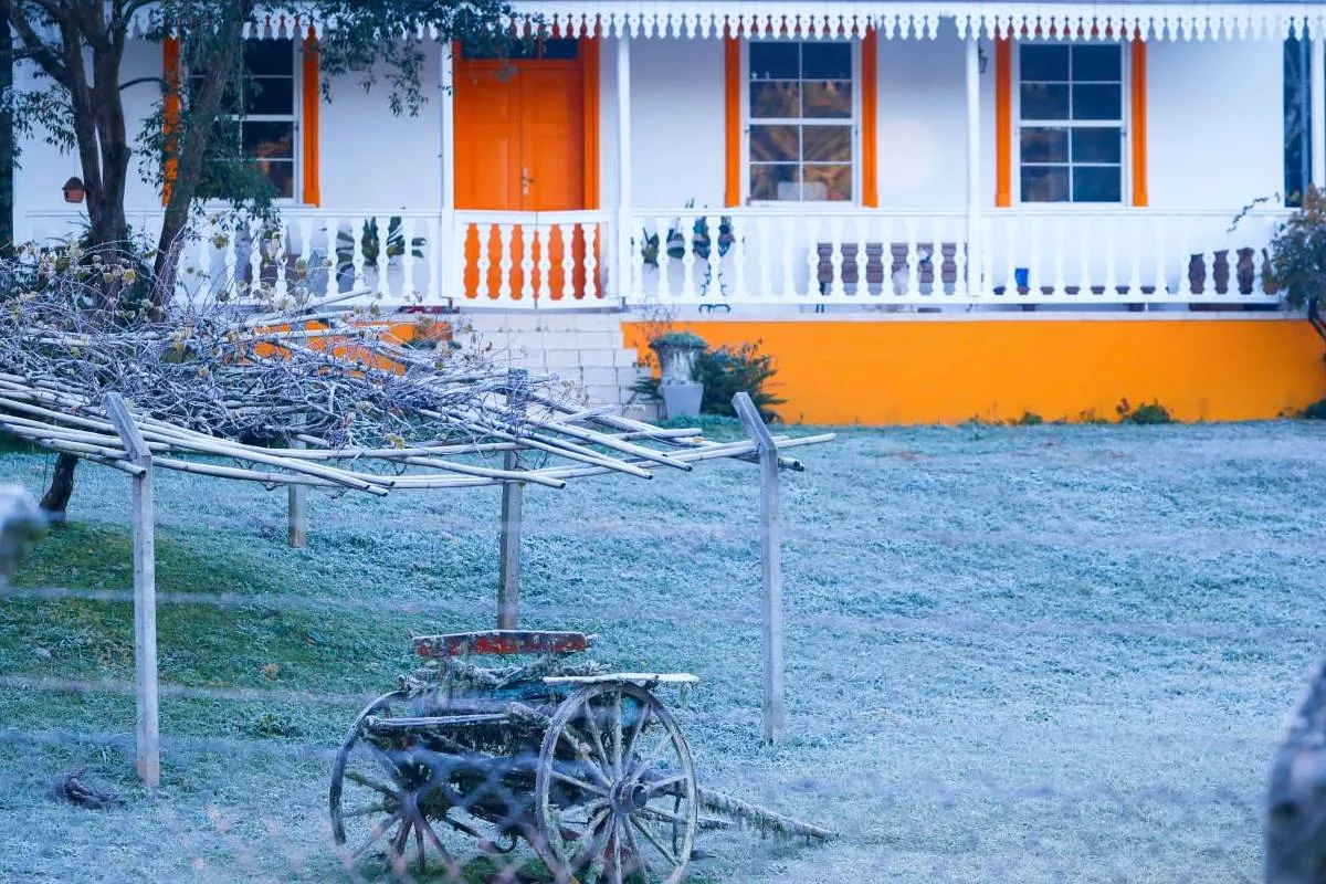 Imagem mostra registros de Geada em Curitiba, no Parque Barigui.