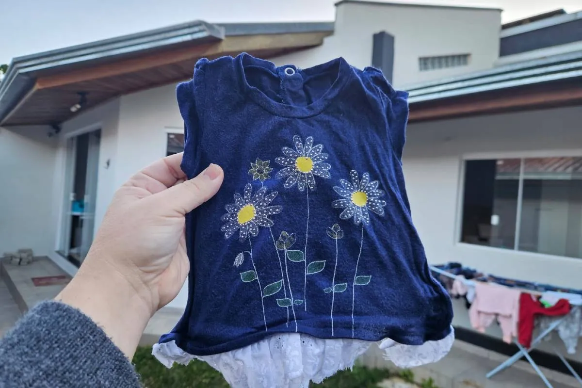 Imagem mostra registros de Geada em Curitiba, no Parque Barigui. No detalhe, uma roupa congelada.