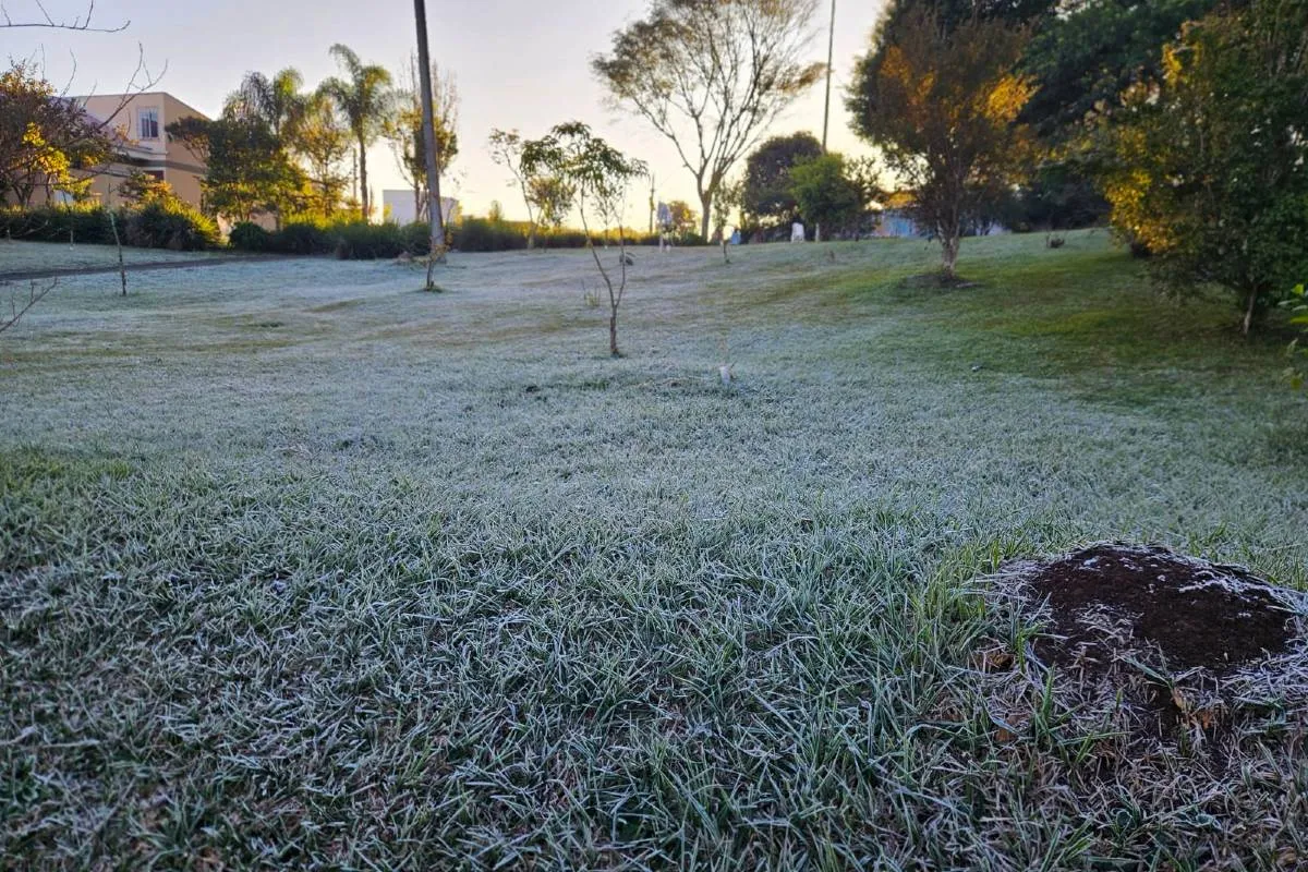 Imagem mostra registros de Geada em Curitiba, no Parque Barigui.