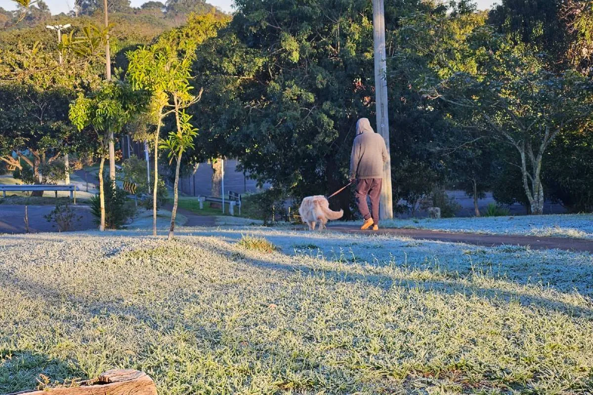 Imagem mostra registros de Geada em Curitiba, no Parque Barigui.