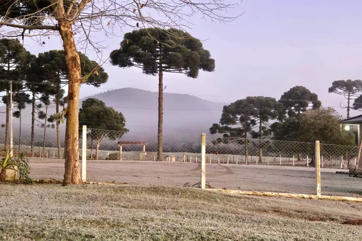 Em Tijucas do Sul a geada também se formou nos gramados.