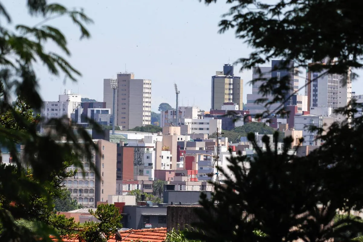 Imagem mostra prédios de Curitiba com uma moldura feita com árvores.