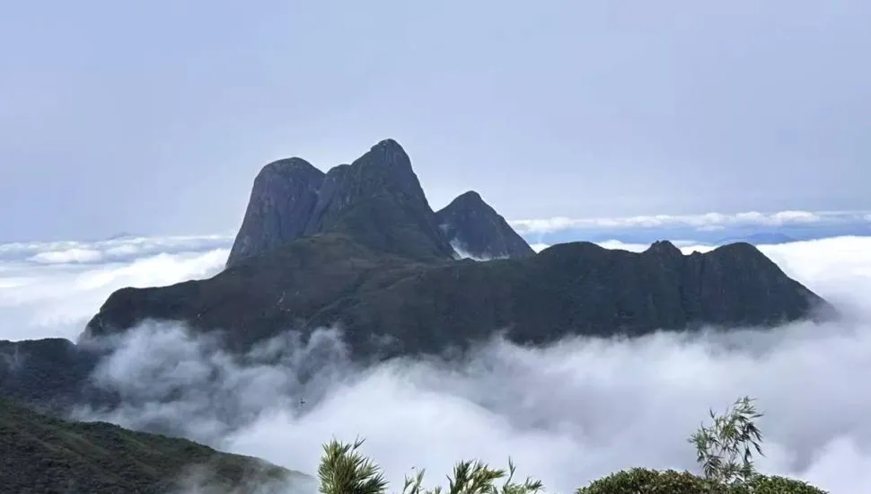 Parque Estadual Pico Paraná