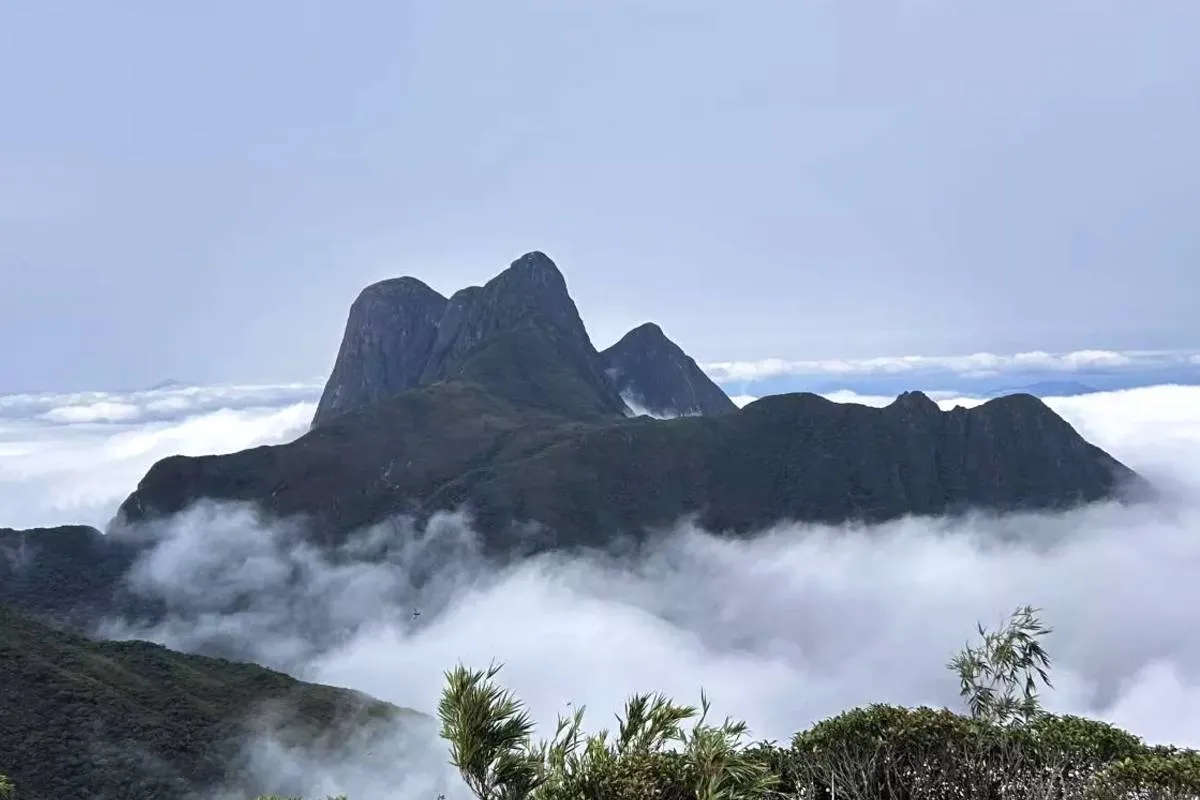 Parque Estadual Pico Paraná
