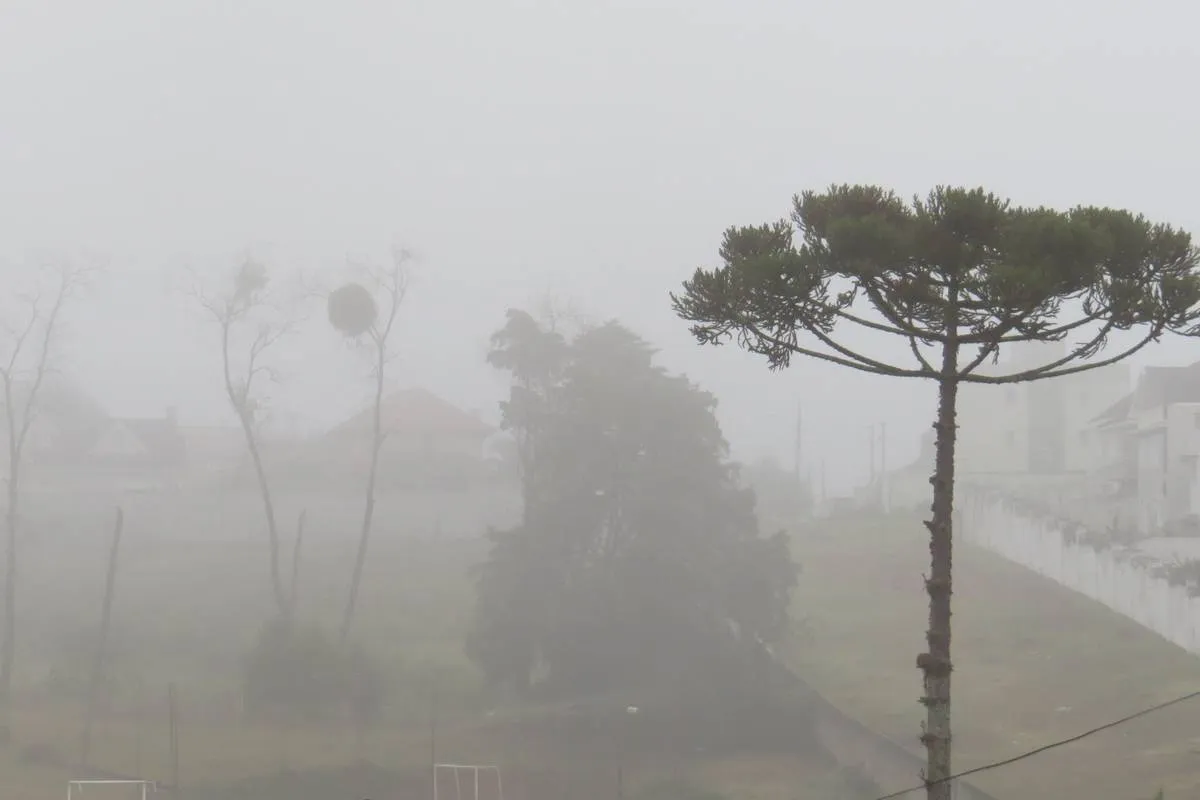 Imagem mostra uma forte neblina em Curitiba