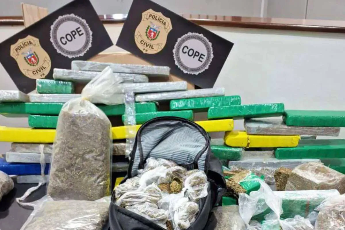 Imagem mostra uma apreensão de maconha gourmet em Curitiba