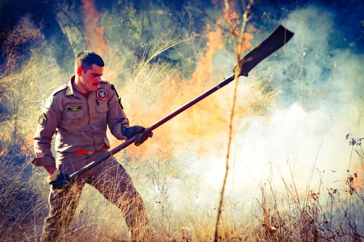 Bombeiros combate incêndio em vegetação em Curitiba e Região Metropolitana