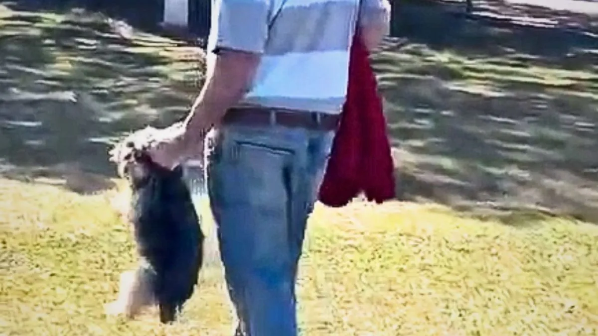 Cãozinho aos gritos! Polícia investiga homem que foi flagrado maltratando cachorrinho em aeroclube de Curitiba