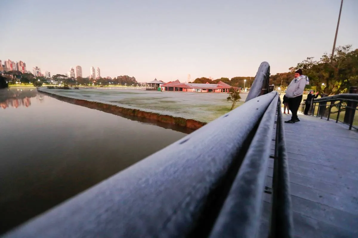 Imagem mostra um registro de geada feito no Parque Barigui, em Curitiba.