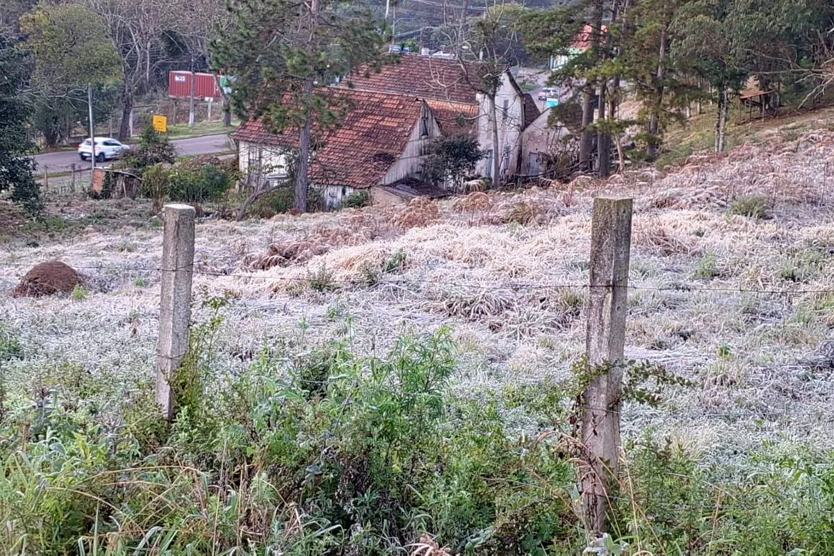 Geada em Curitiba 30/07/25