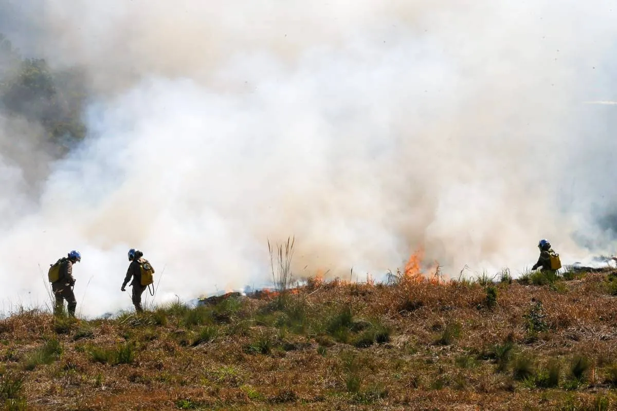 Incêndio em terreno no Bairro Alto