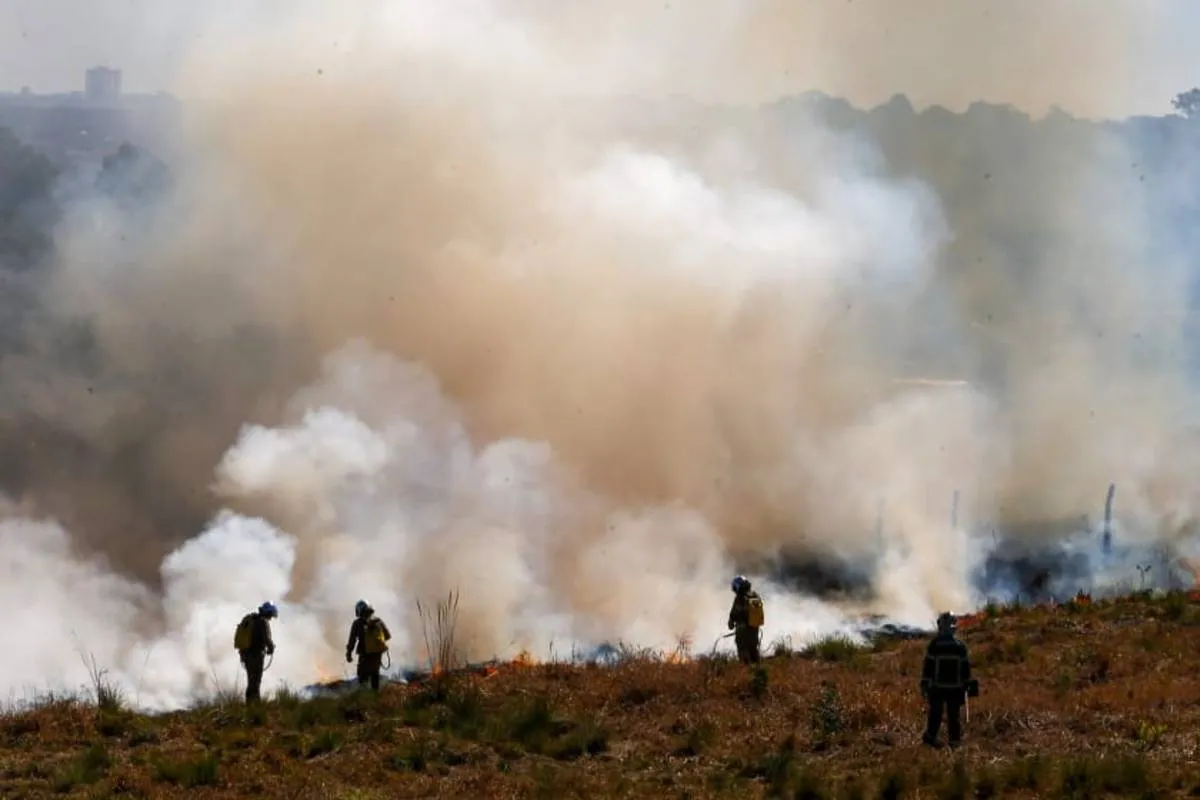 Incêndio em terreno no Bairro Alto