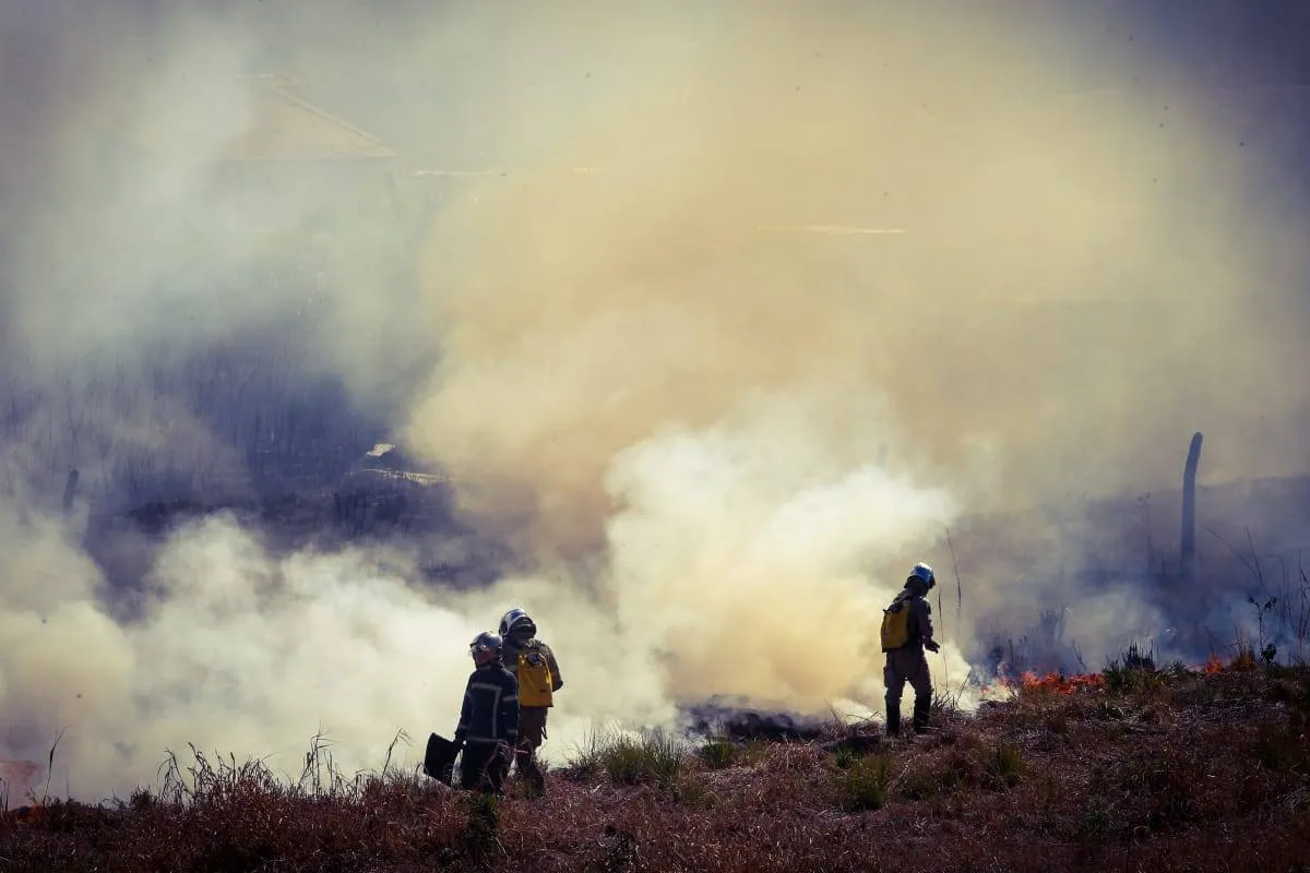 Incêndio em terreno no Bairro Alto