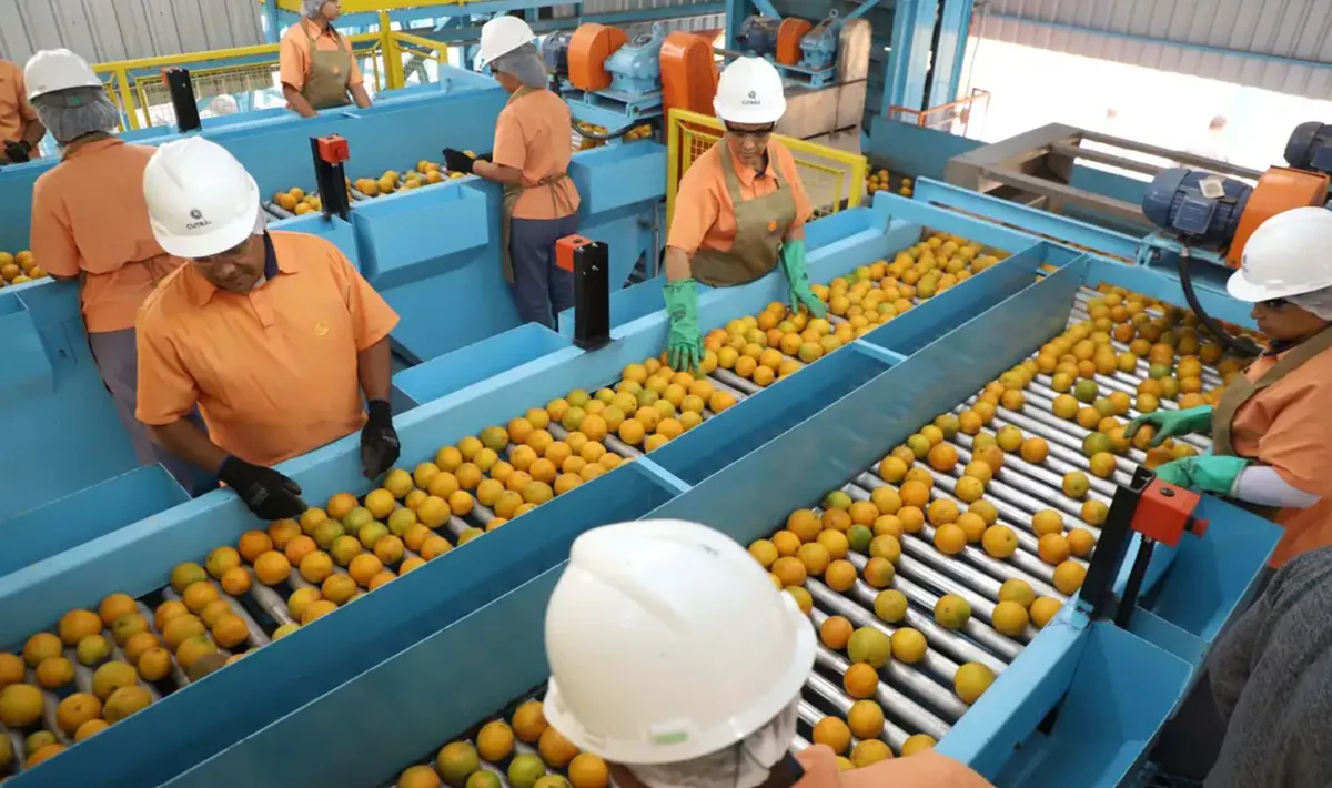 Taxação Estados Unidos