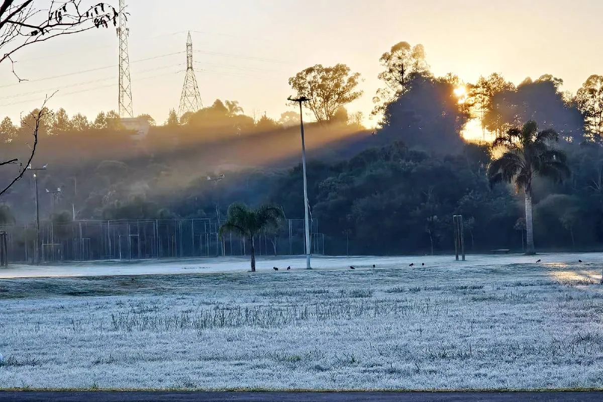 Imagem mostra a geada que atingiu Curitiba quinta-feira