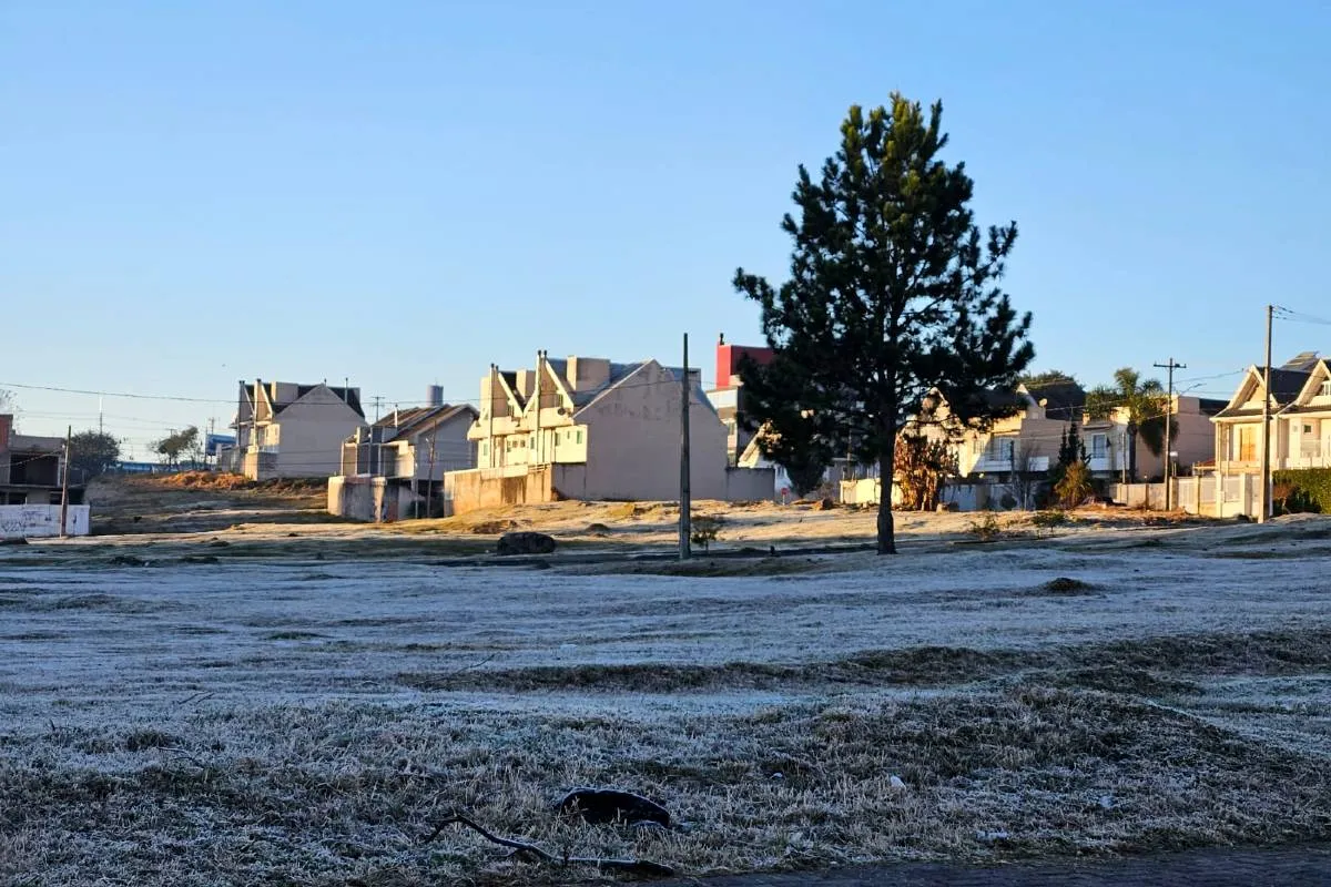 Imagem mostra a geada que atingiu Curitiba quinta-feira