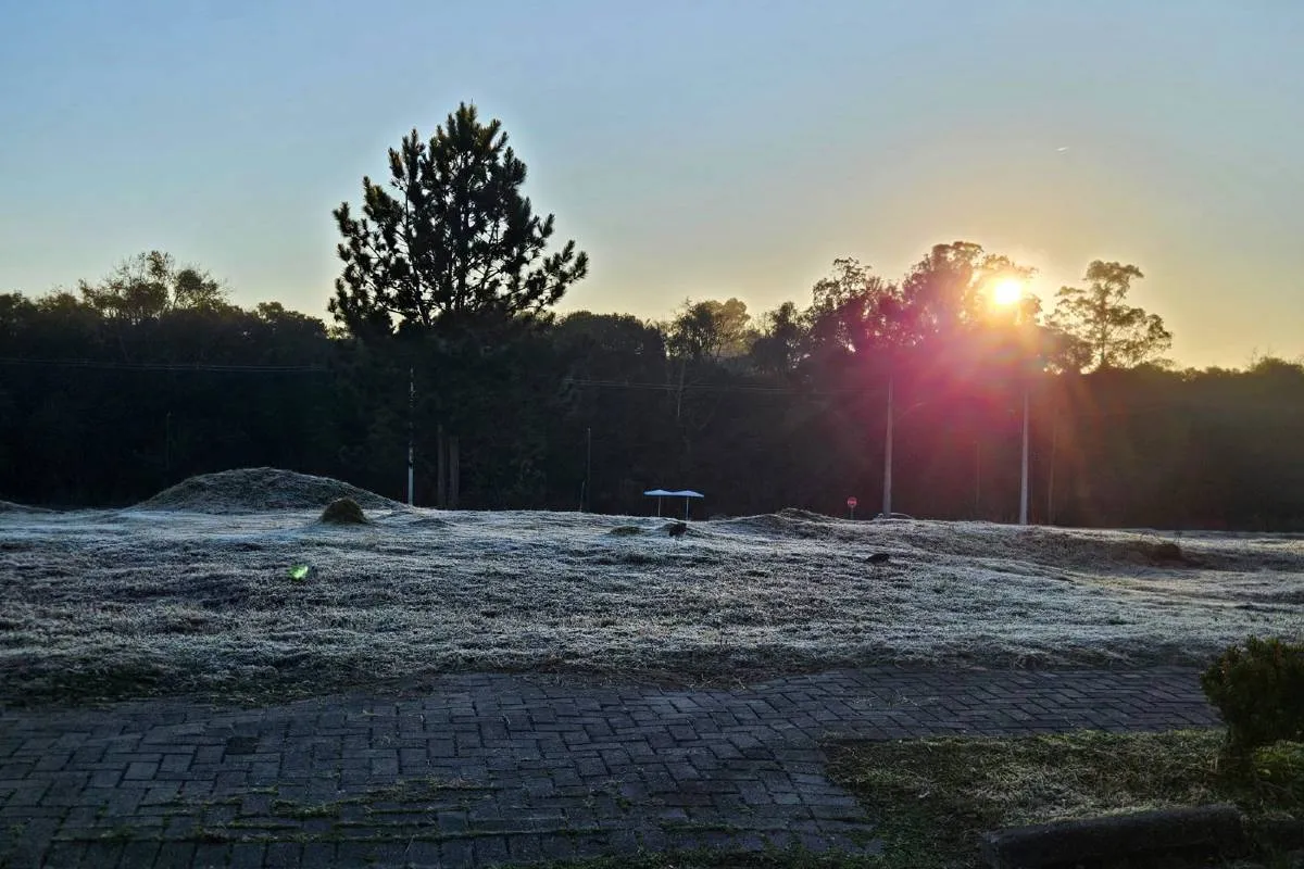 Imagem mostra a geada que atingiu Curitiba quinta-feira