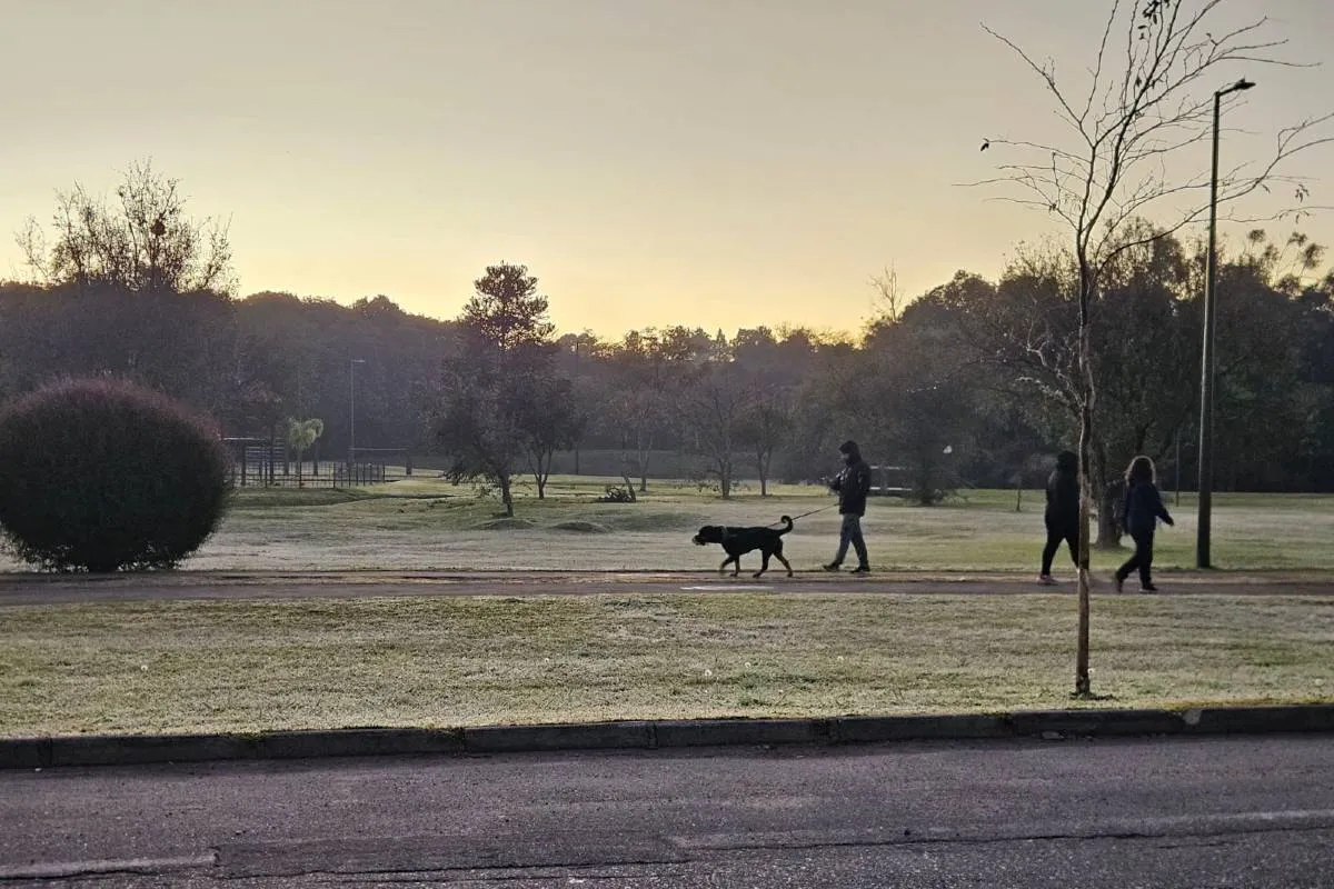 Imagem mostra a geada que atingiu Curitiba quinta-feira