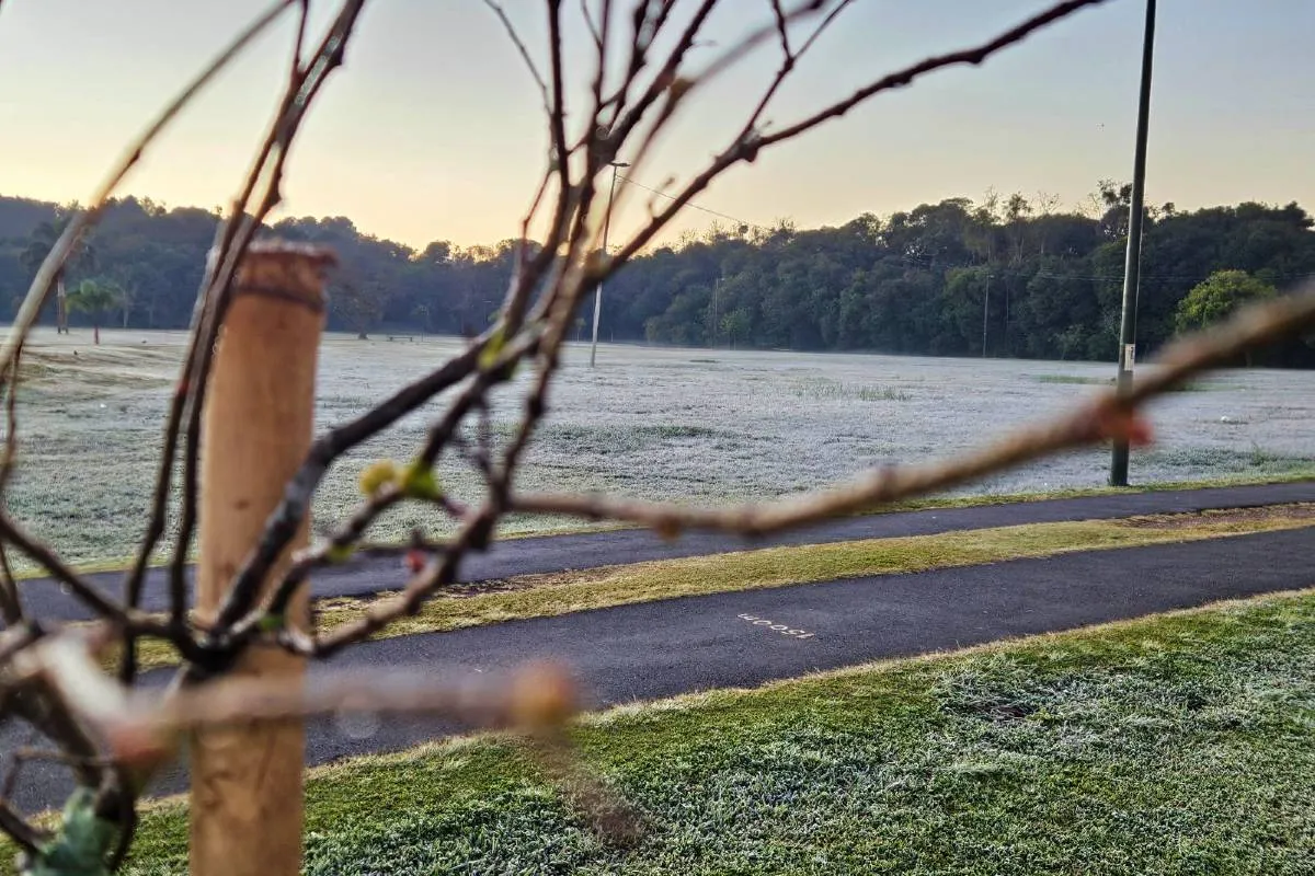Imagem mostra a geada que atingiu Curitiba quinta-feira