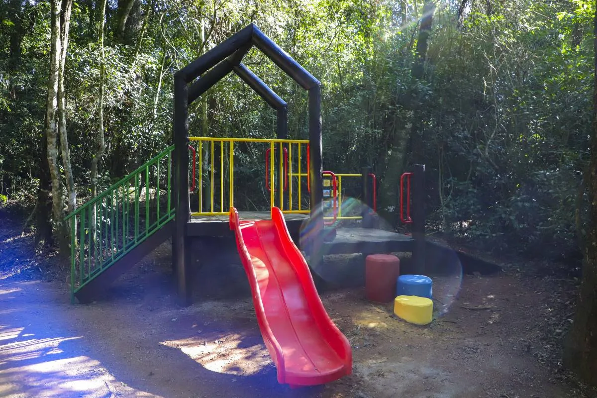 Imagem mostra as novidades no Bosque Reinhard Maack, em Curitiba.