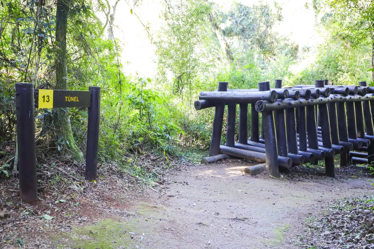 Imagem mostra as novidades no Bosque Reinhard Maack, em Curitiba.