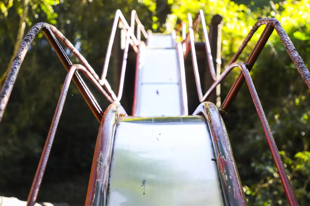 Imagem mostra as novidades no Bosque Reinhard Maack, em Curitiba.