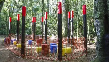 Imagem mostra as novidades no Bosque Reinhard Maack, em Curitiba.