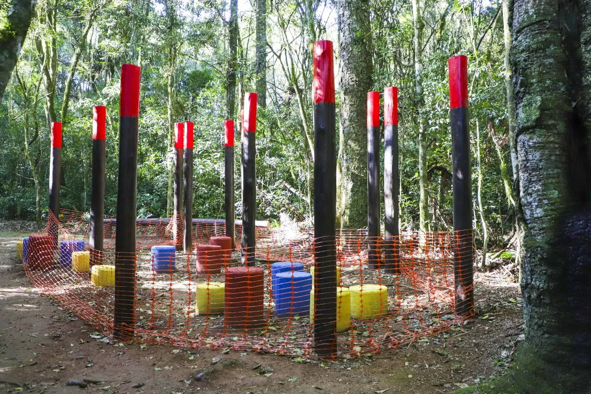 Imagem mostra as novidades no Bosque Reinhard Maack, em Curitiba.