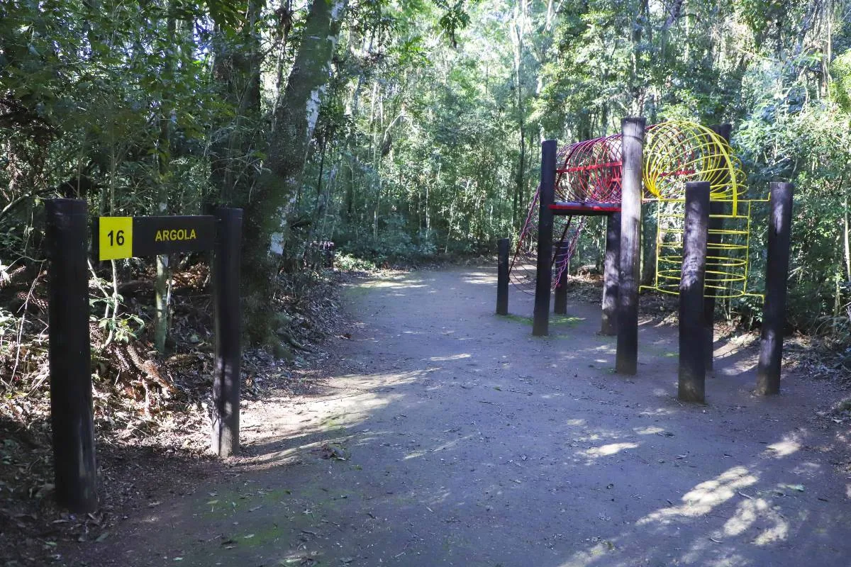 Imagem mostra as novidades no Bosque Reinhard Maack, em Curitiba.